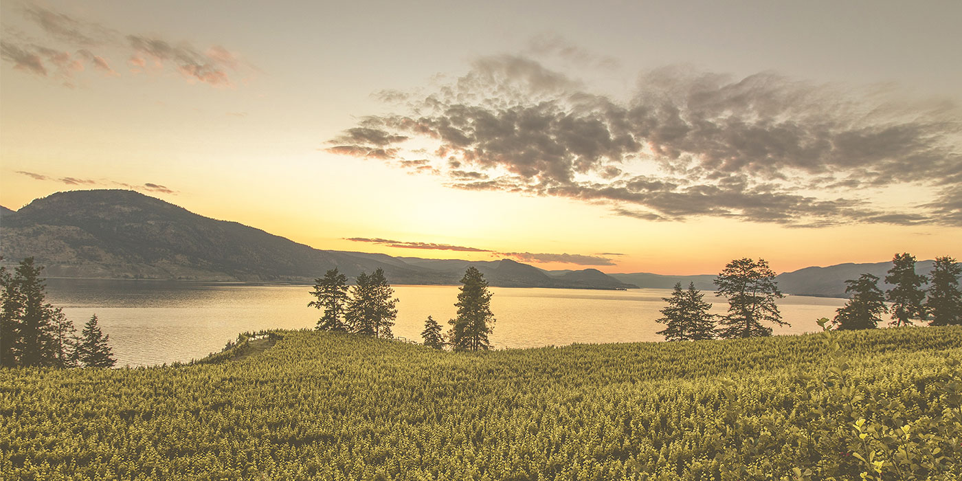 Green Mountain Receives Standard Processing License from Health Canada